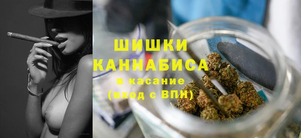 ГАЛЛЮЦИНОГЕННЫЕ ГРИБЫ Нязепетровск