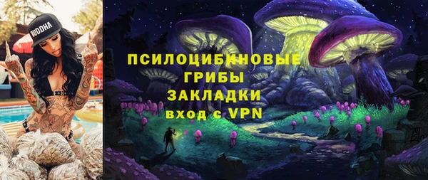 ГАЛЛЮЦИНОГЕННЫЕ ГРИБЫ Алзамай