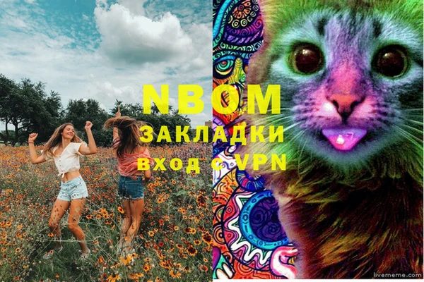 прущие грибы Алексеевка