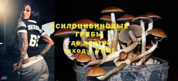 прущие грибы Алексеевка
